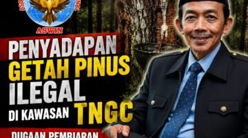 Penyadapan Getah Pinus Ilegal di Kawasan TNGC || Aceng Syamsul Hadie (ASH): Diduga Pembiaran, Ketidakmampuan, atau Ada yang Belum Terungkap?
