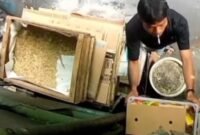 POTRET - tukang sablon di Tambora, Jakarta Barat terekam CCTV usai mencuri minyak goreng di sebuah warung kelontong, hingga akhirnya diciduk polisi. (Foto: Tangkapan Layar/Ist).