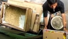 POTRET - tukang sablon di Tambora, Jakarta Barat terekam CCTV usai mencuri minyak goreng di sebuah warung kelontong, hingga akhirnya diciduk polisi. (Foto: Tangkapan Layar/Ist).