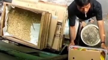 POTRET - tukang sablon di Tambora, Jakarta Barat terekam CCTV usai mencuri minyak goreng di sebuah warung kelontong, hingga akhirnya diciduk polisi. (Foto: Tangkapan Layar/Ist).
