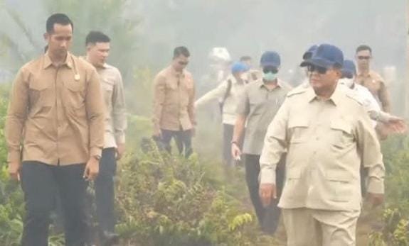 Instruksi Presiden, Kemenhut Bekukan 6 Perusahaan Terkait Karhutla Kalimantan
