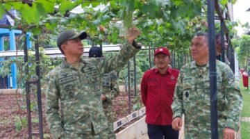 Osep Sutisna, Tenaga Ahli Pertanian Panglima TNI, Uji Coba Pupuk Cair Abirawa Nusantara dan Produk HMTN-MP