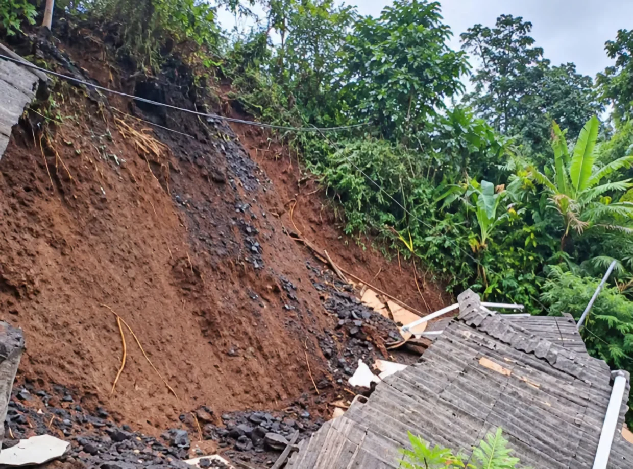 Longsor di Dusun Jonggrang, Desa Tamanayu, Pronojiwo, Lumajang, menimbun rumah warga dan menewaskan seorang ayah bersama anak perempuannya yang berusia 9 tahun. Dua rumah terdampak material longsor.