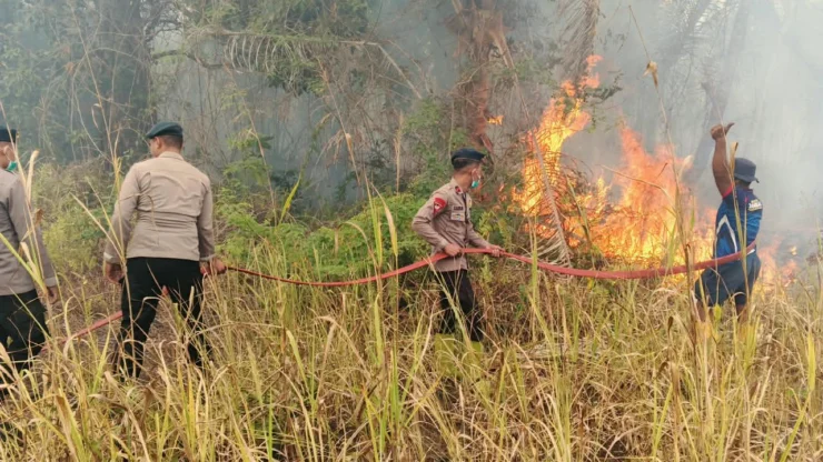 Brimob Malut Respons Cepat, Bersinergi Padamkan Kebakaran Lahan di Desa Tewil