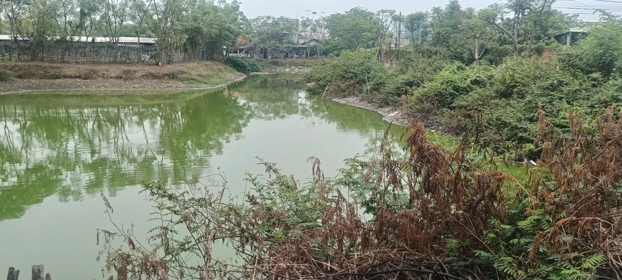 Embung RW 01 Semanan, Kalideres, Jakarta Barat, yang diduga kurang perawatan dan menjadi perhatian warga menjelang musim hujan untuk mengantisipasi risiko banjir.