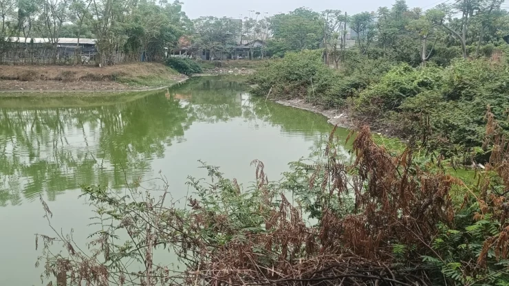 Embung RW 01 Semanan Diduga Tak Terawat, Warga Khawatir Banjir Kembali Mengancam, Kinerja Sudin SDA Dipertanyakan?