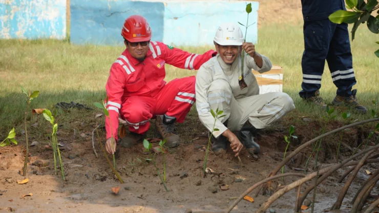 ‎HUT KE-31 Indonesia POWER (PLTU) Power, (PLTU) Lontar Perkuat Ekosistem Energi Hijau Melalui Penaman Mangrove dan Co-Firing
